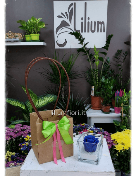 Rosa stabilizzata in cubo di vetro